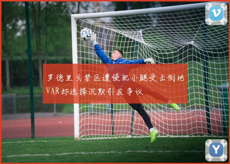 罗德里戈禁区遭侵犯小腿受击倒地VAR却选择沉默引发争议