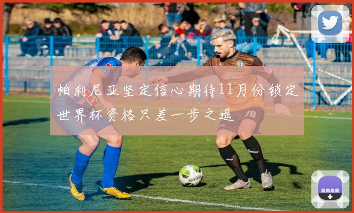 帕利尼亚坚定信心期待11月份锁定世界杯资格只差一步之遥