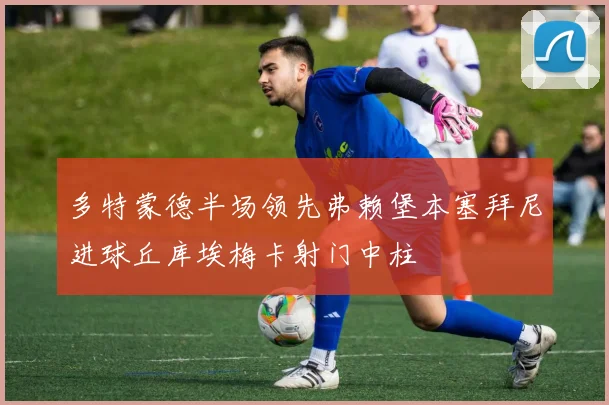多特蒙德半场领先弗赖堡本塞拜尼进球丘库埃梅卡射门中柱