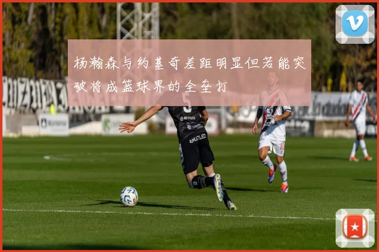 杨瀚森与约基奇差距明显但若能突破将成篮球界的全垒打