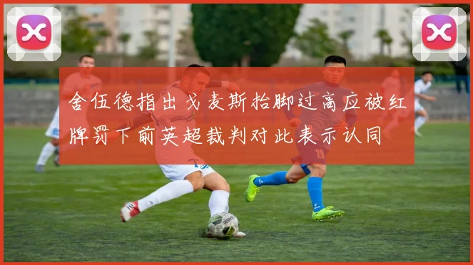 舍伍德指出戈麦斯抬脚过高应被红牌罚下前英超裁判对此表示认同