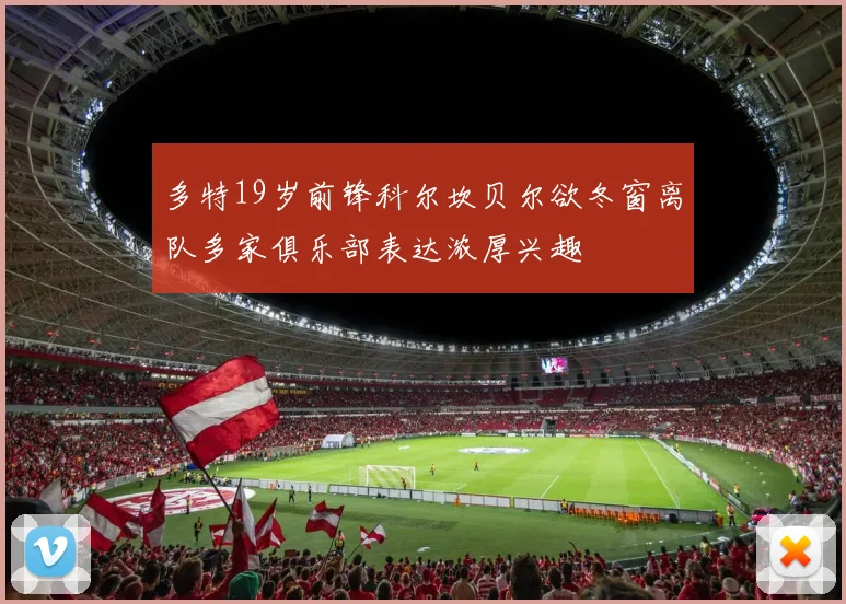 多特19岁前锋科尔坎贝尔欲冬窗离队多家俱乐部表达浓厚兴趣