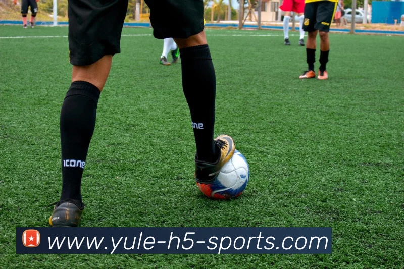 乐鱼体育发展历程